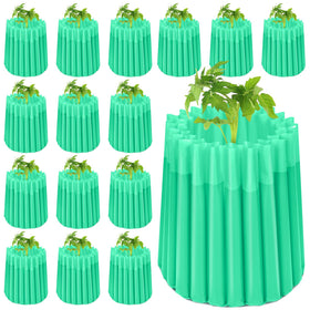 Vincreem wall of water covers form a 24-inch frost barrier around seedlings