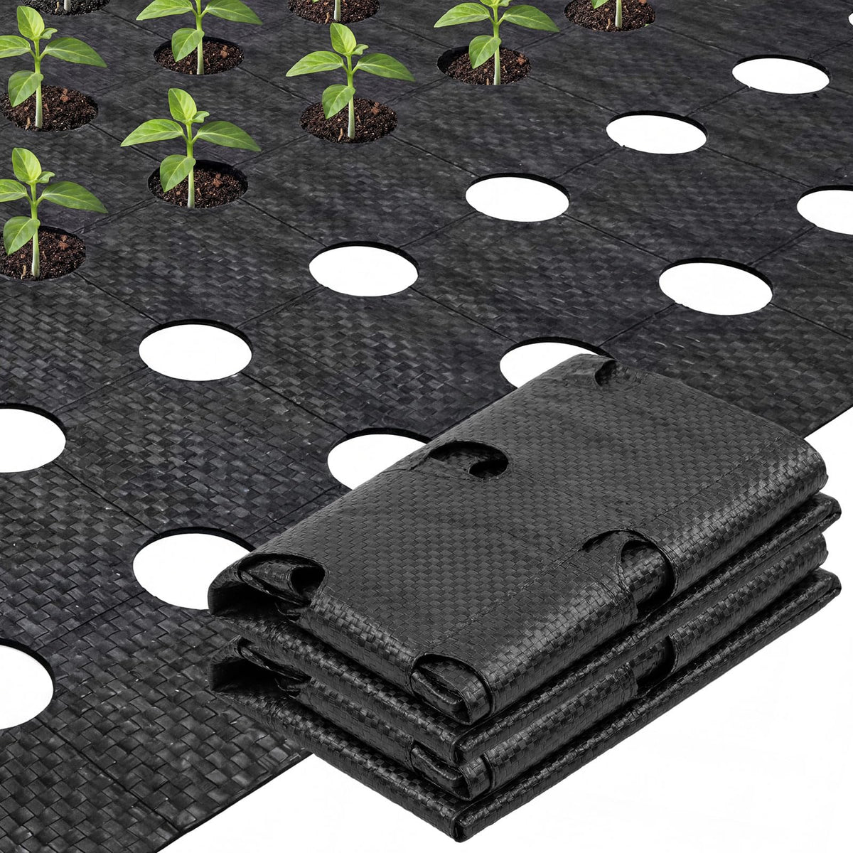 Vincreem weed barrier fabric with planting holes supports neat planting and weed suppression.