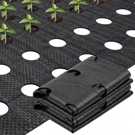 Vincreem weed barrier fabric with planting holes supports neat planting and weed suppression.