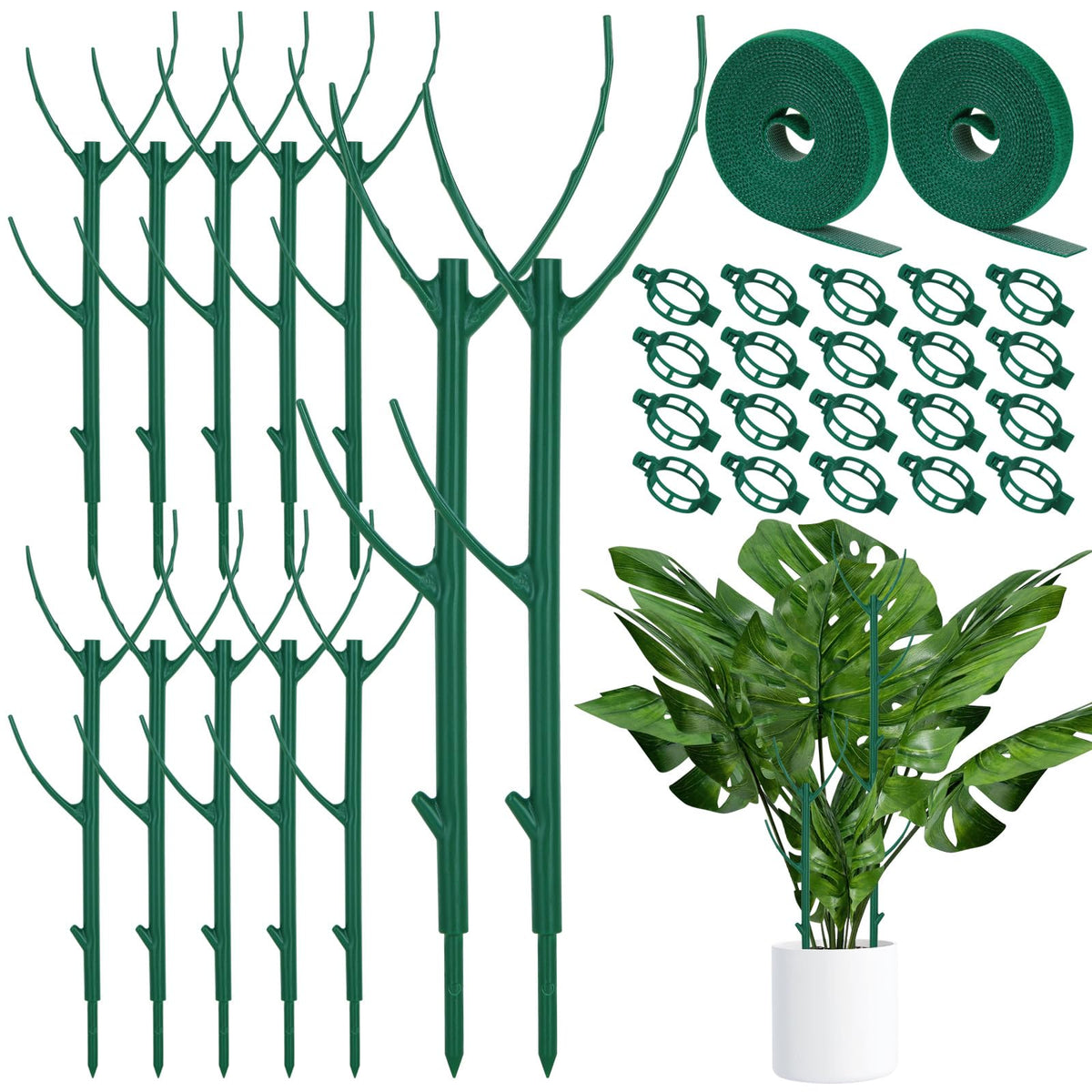 Vintrex Monstera plant support stackable stakes promote sturdy vertical growth for indoor plants