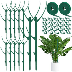 Vintrex Monstera plant support stackable stakes promote sturdy vertical growth for indoor plants