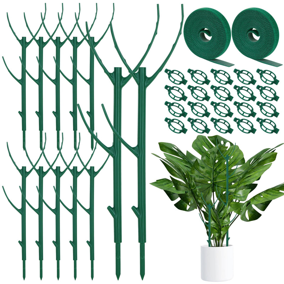 Vintrex Monstera plant support stackable stakes promote sturdy vertical growth for indoor plants