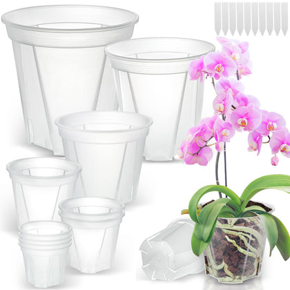 VIOBEPASS clear nursery pots collection for versatile seedling growth and easy observation