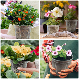 VIOBEPASS clear nursery pots enable lightweight handling during setup and watering