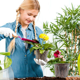 VIOBEPASS large orchid pot with 2.7-gallon capacity supports mature plants.
