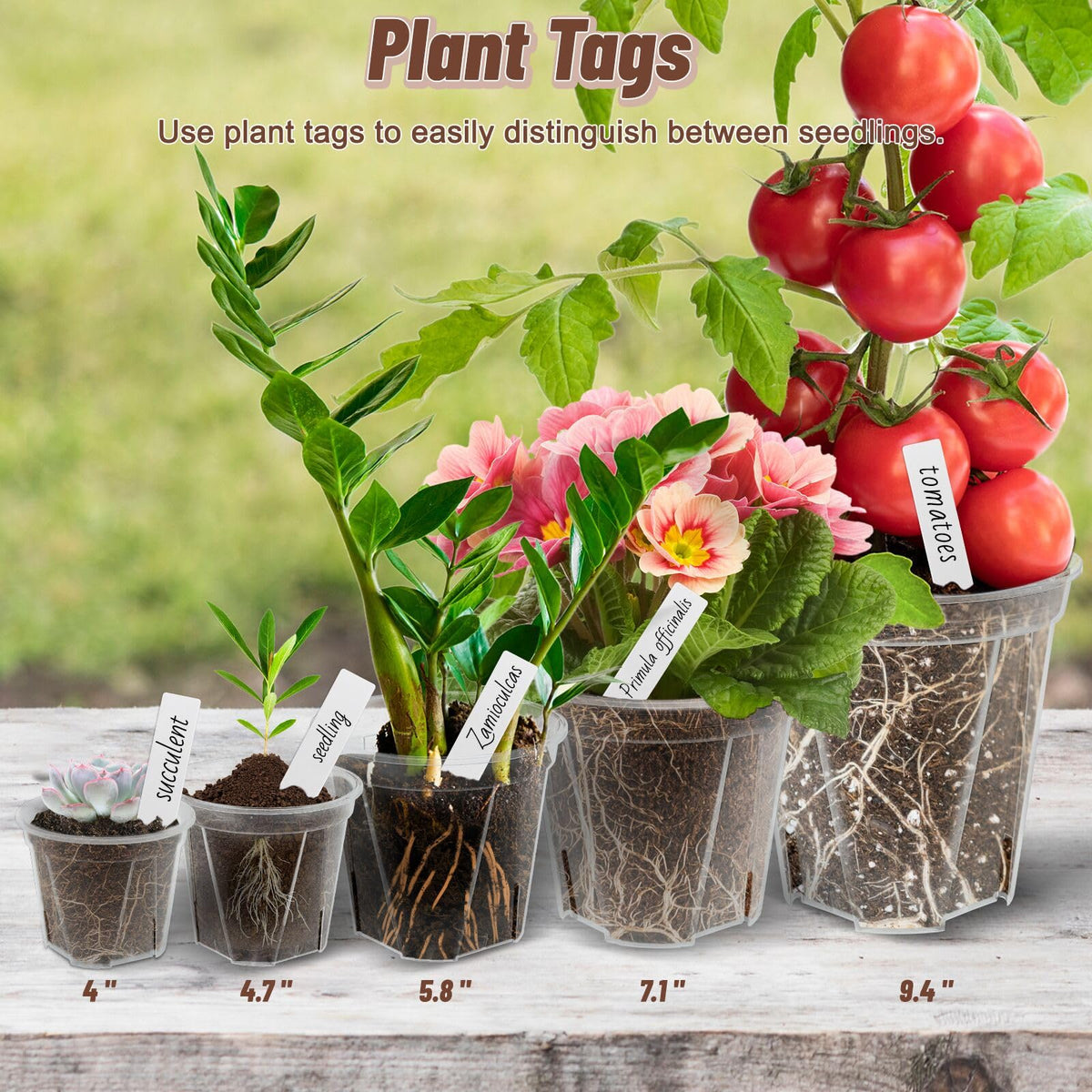 VIOBEPASS includes plant labels to track seedlings, varieties, and growth stages
