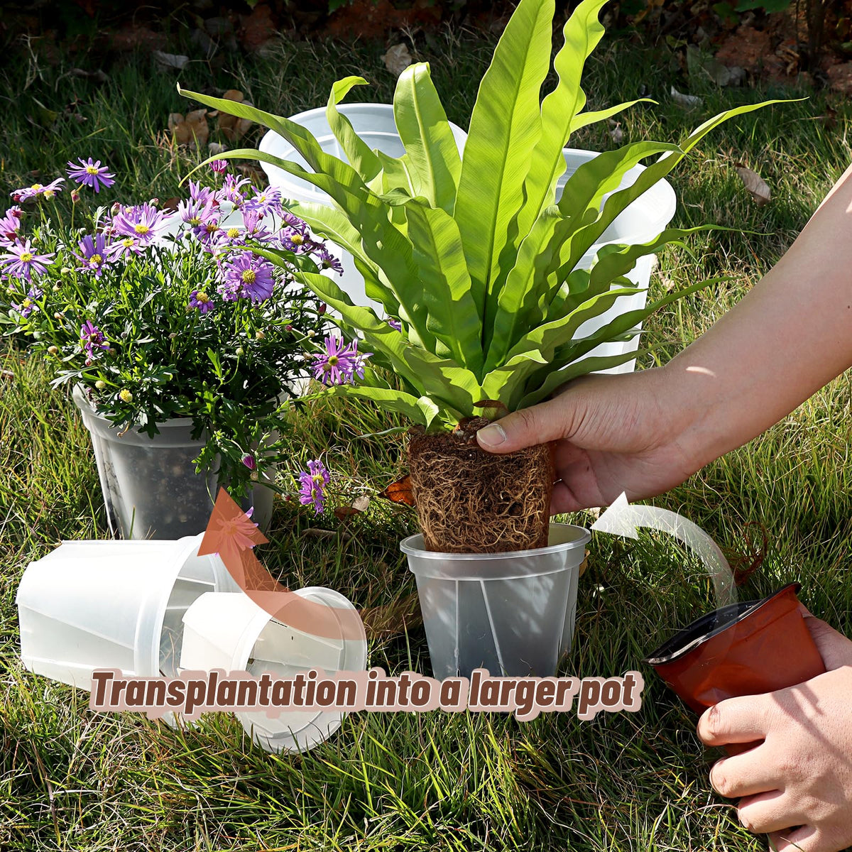 VIOBEPASS pots feature eight drainage holes to support healthy root drainage