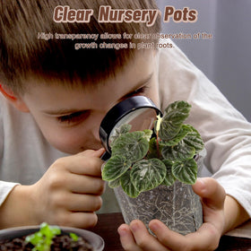 VIOBEPASS six-size variety ensures a proper fit from seedling to larger pots