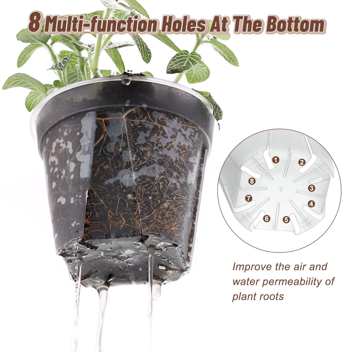 VIOBEPASS transparent root-observation pot enables quick moisture checks and watering timing.