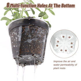 VIOBEPASS transparent root-observation pot enables quick moisture checks and watering timing.