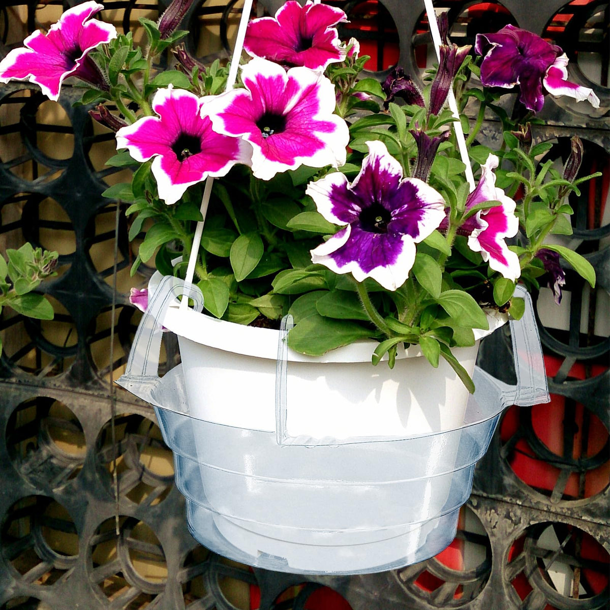 VIOBEPASS 12-pack set enables easy replacement and expansion for your garden.