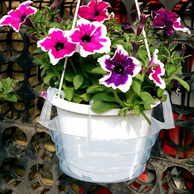 VIOBEPASS 12-pack set enables easy replacement and expansion for your garden.