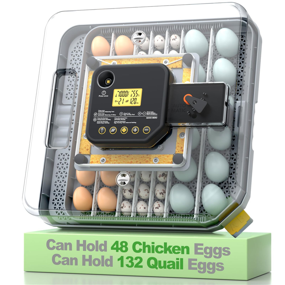 VIOPUMPO egg incubator with 360° view for easy monitoring of eggs