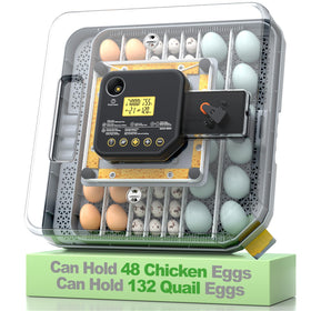 VIOPUMPO egg incubator with 360° view for easy monitoring of eggs