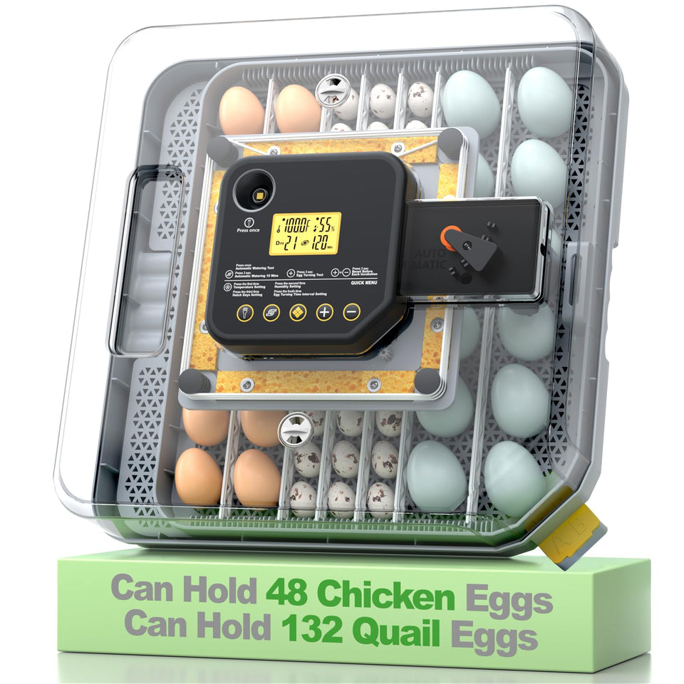 VIOPUMPO egg incubator with 360° view for easy monitoring of eggs