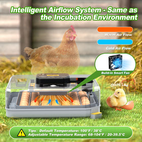 VIOPUMPO egg incubator built-in candling view for development checks