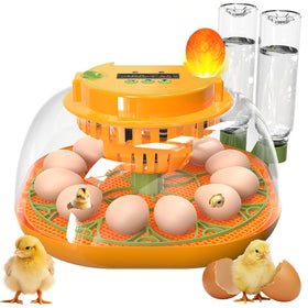Viowey 12-egg incubator with 360-degree lid view for monitoring progress