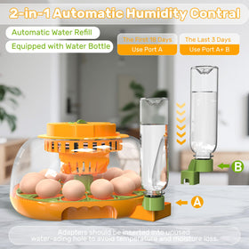 Viowey incubator AB humidity tray maintaining stable moisture