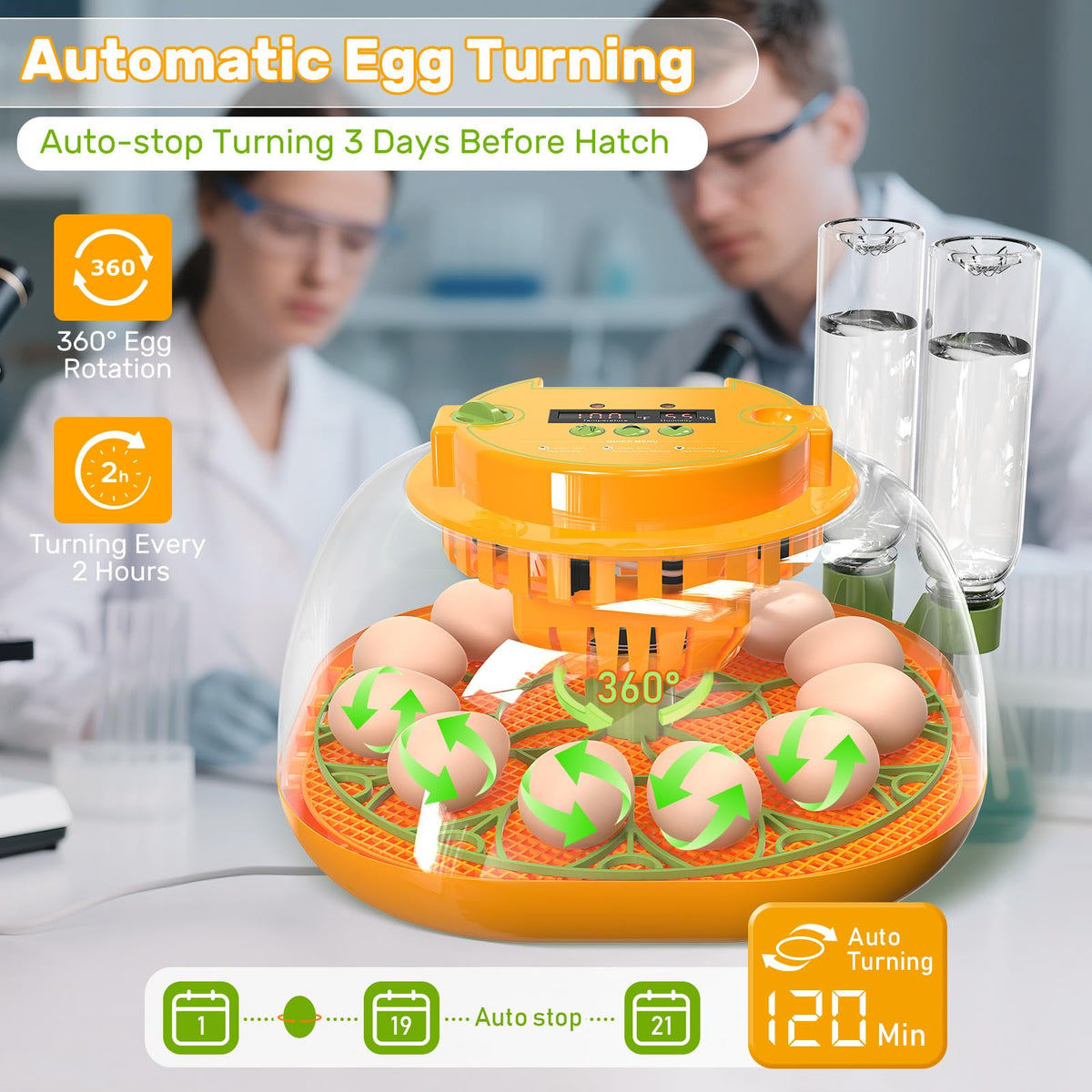 Viowey incubator automatic turning every 2 hours for development