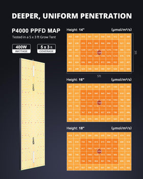 VIPARSPECTRA P4000 energy-efficient 450W draws less power than traditional fixtures.