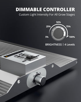 VIPARSPECTRA XS2500 no-fan design keeps quiet operation.
