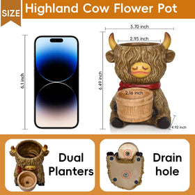 ViQuHaT hollow-head planter with drainage holes supports healthy succulents.