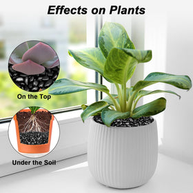 Virekm decorative stones showcase color variety for vases and terrariums.