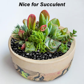 Virekm succulent planter pebbles improve drainage and aesthetics.