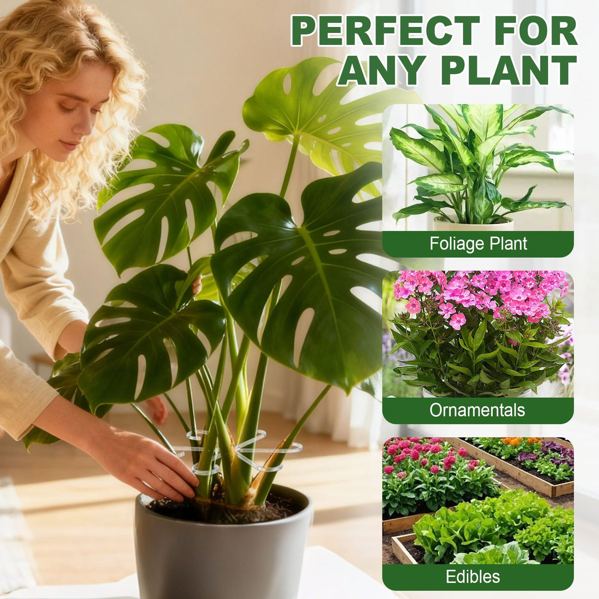 Virmoek gift-ready plant starter kit for plant lovers