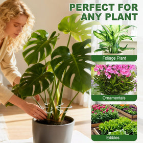 Virmoek gift-ready plant starter kit for plant lovers