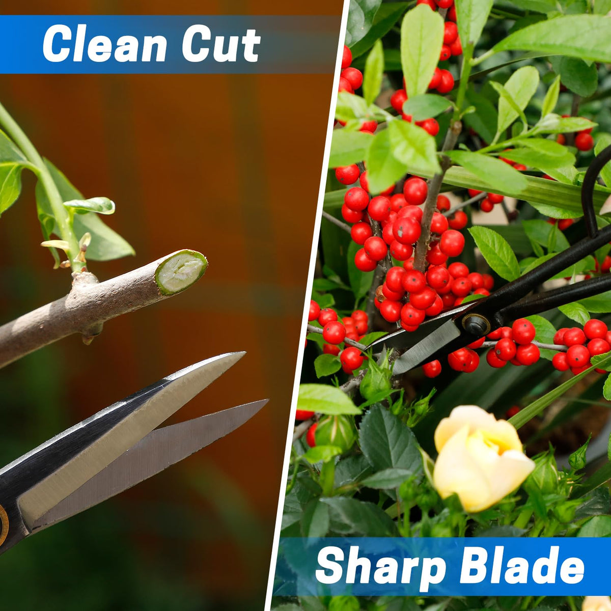 VISEMAN Bonsai Shears clean-cut after use with simple maintenance steps.