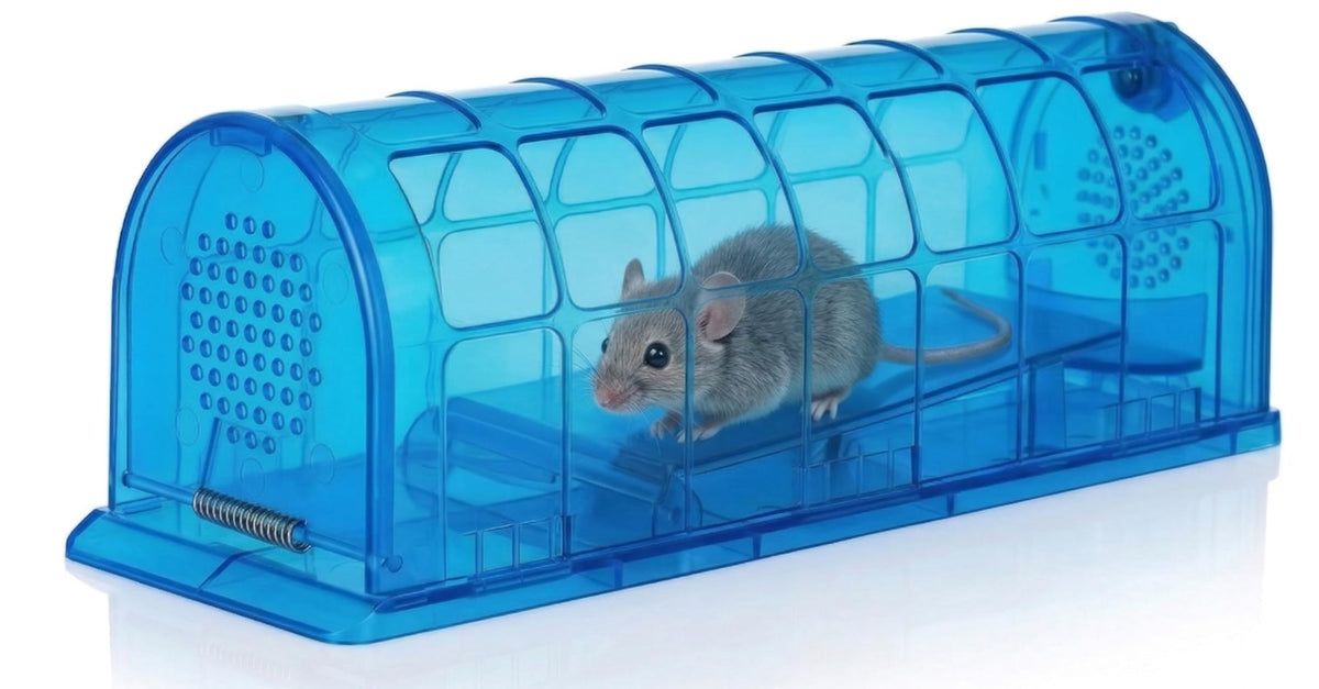 VisidgeB2C trap shows a rear release door for no-touch release.