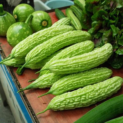 VISTATU bitter melon seeds package for home garden planting.