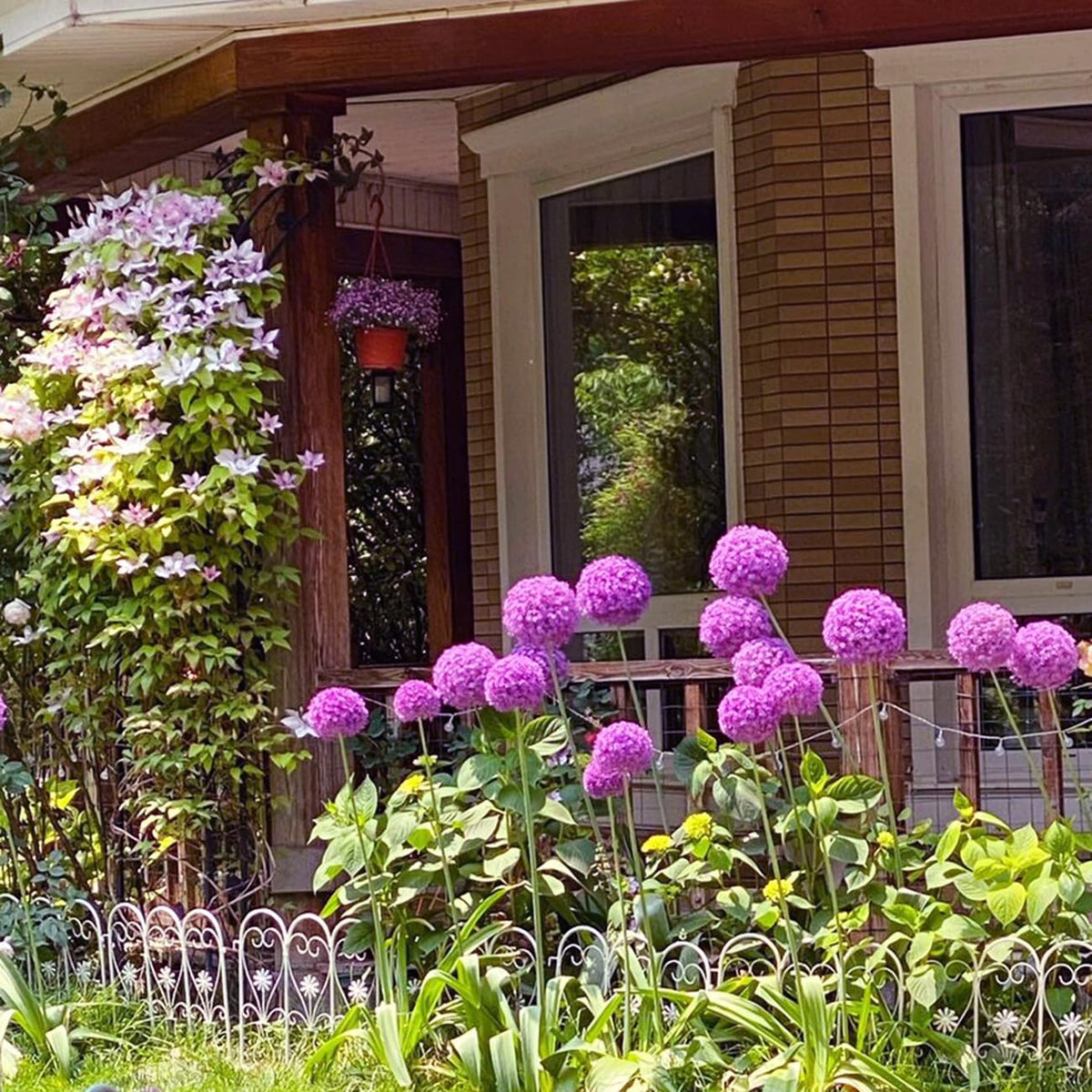 VISTATU Late spring to early summer bloom adds seasonal color.