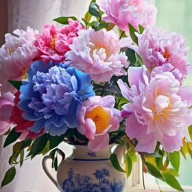 VISTATU peony garden bloom showcasing lush, fragrant flowers in a sunny yard.