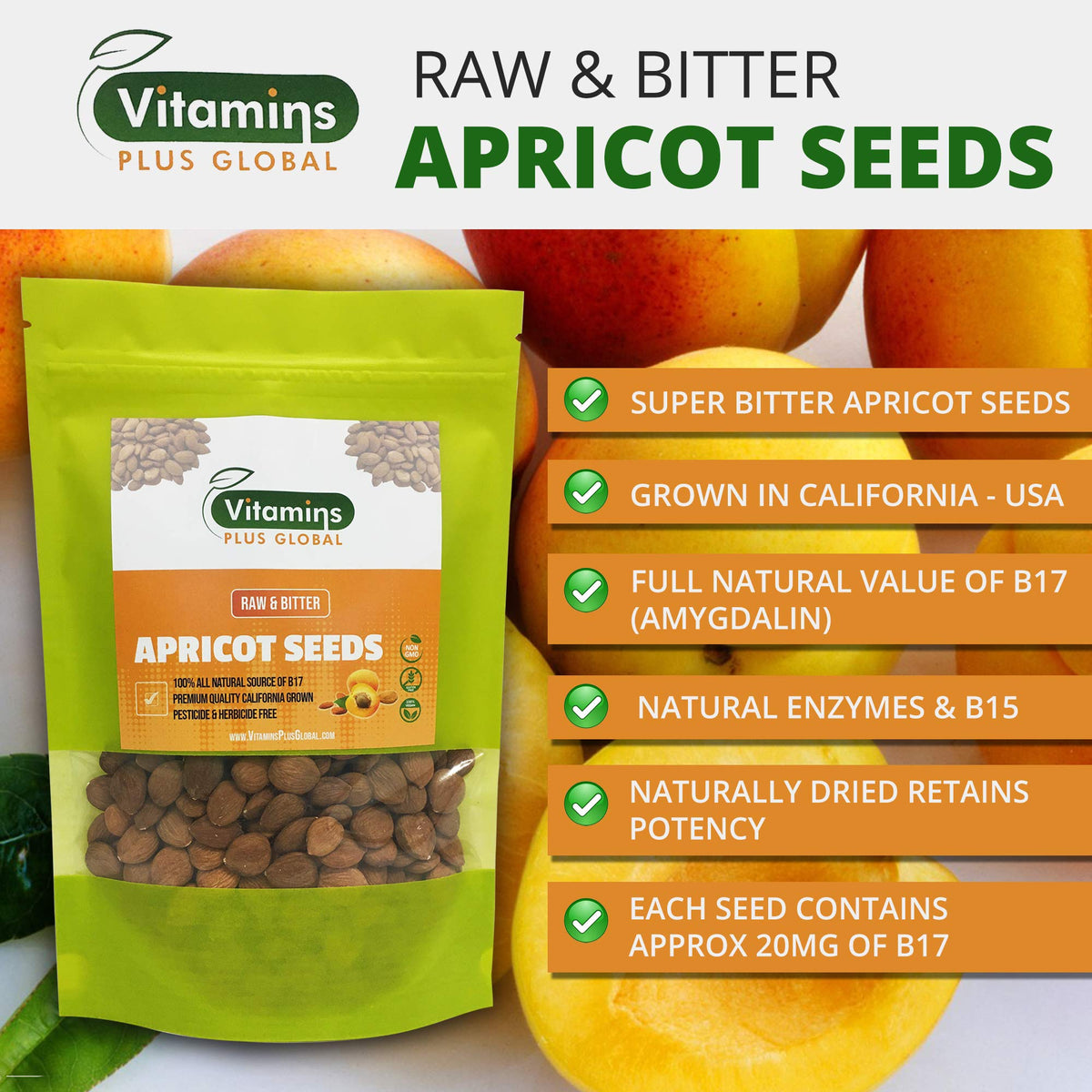 Vitamins Plus Global apricot kernel close-up showing size and texture.
