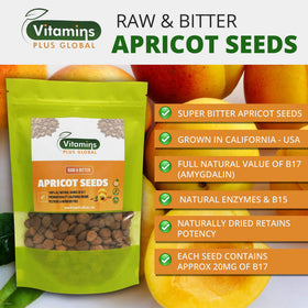 Vitamins Plus Global apricot kernel close-up showing size and texture.