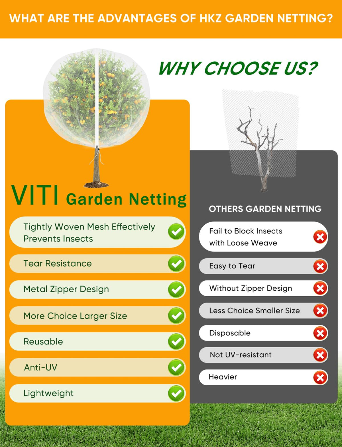 Versatile protection for blueberries and fruit trees with VITI netting