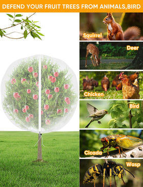 VITI netting fully covers a fruit tree to deter birds and cicadas