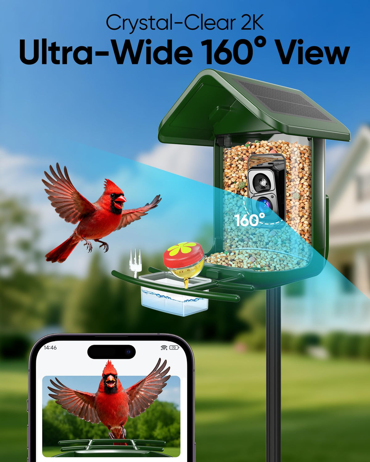 VIUBIRD DIY accessories attract diverse birds with nectar, fruit, and jelly treats.