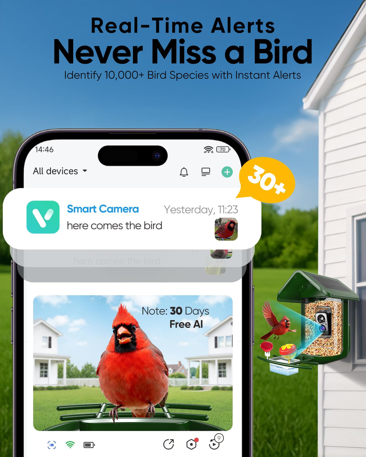 VIUBIRD solar-powered feeder enables long outdoor use with minimal maintenance.