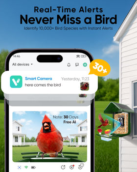 VIUBIRD solar-powered feeder enables long outdoor use with minimal maintenance.
