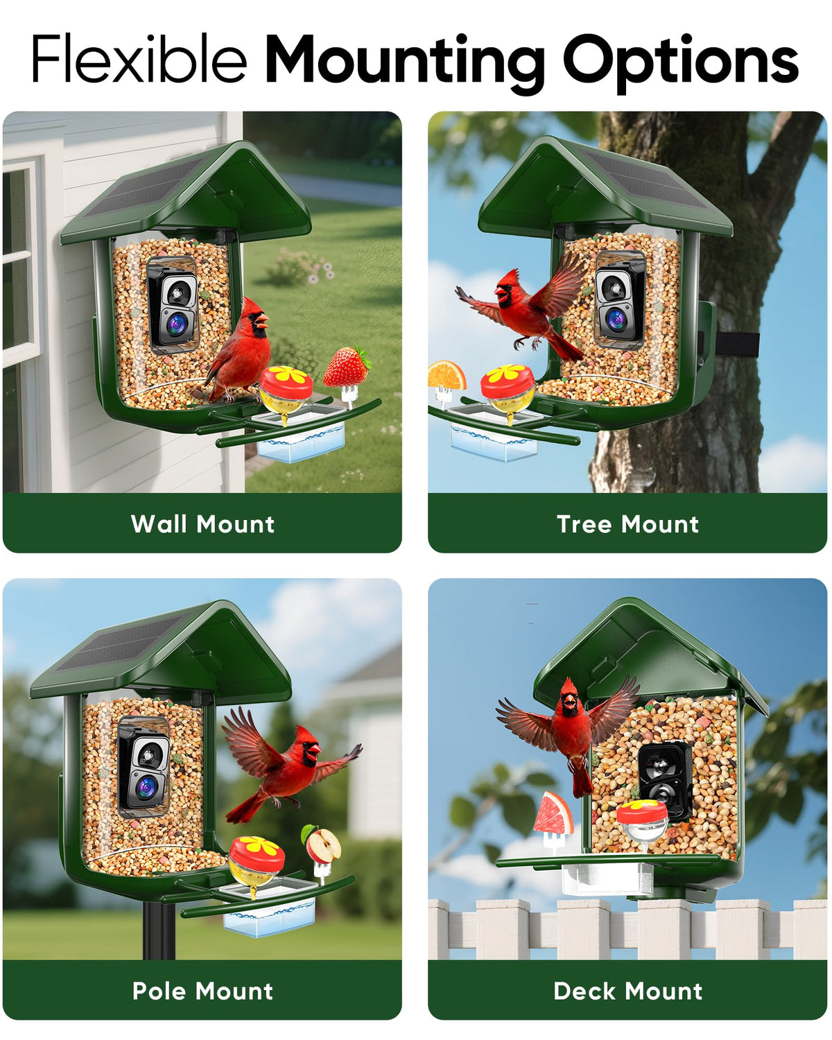 VIUBIRD subscription trial provides AI features for enhanced bird ID.