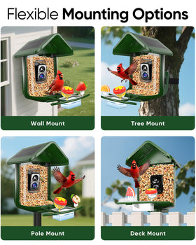 VIUBIRD subscription trial provides AI features for enhanced bird ID.