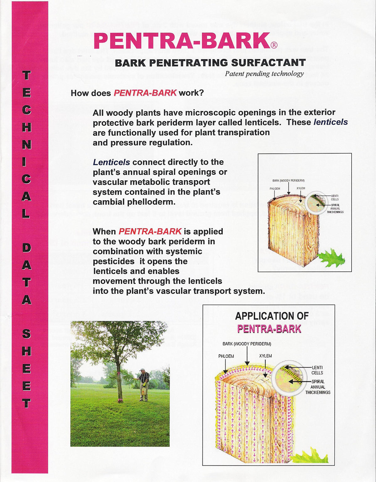 VivaGrow Pentra-Bark being applied on a tree trunk for efficient translocation