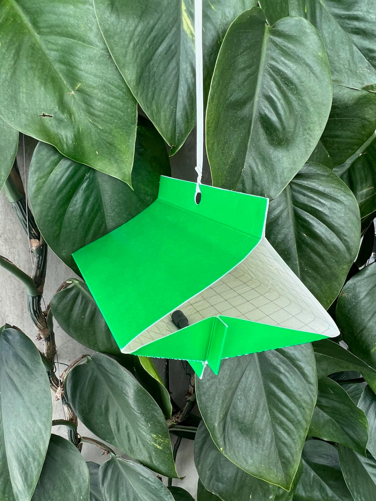 VivaGrow VT-102 citrus tree monitoring setup in home garden