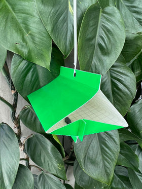 VivaGrow VT-102 citrus tree monitoring setup in home garden