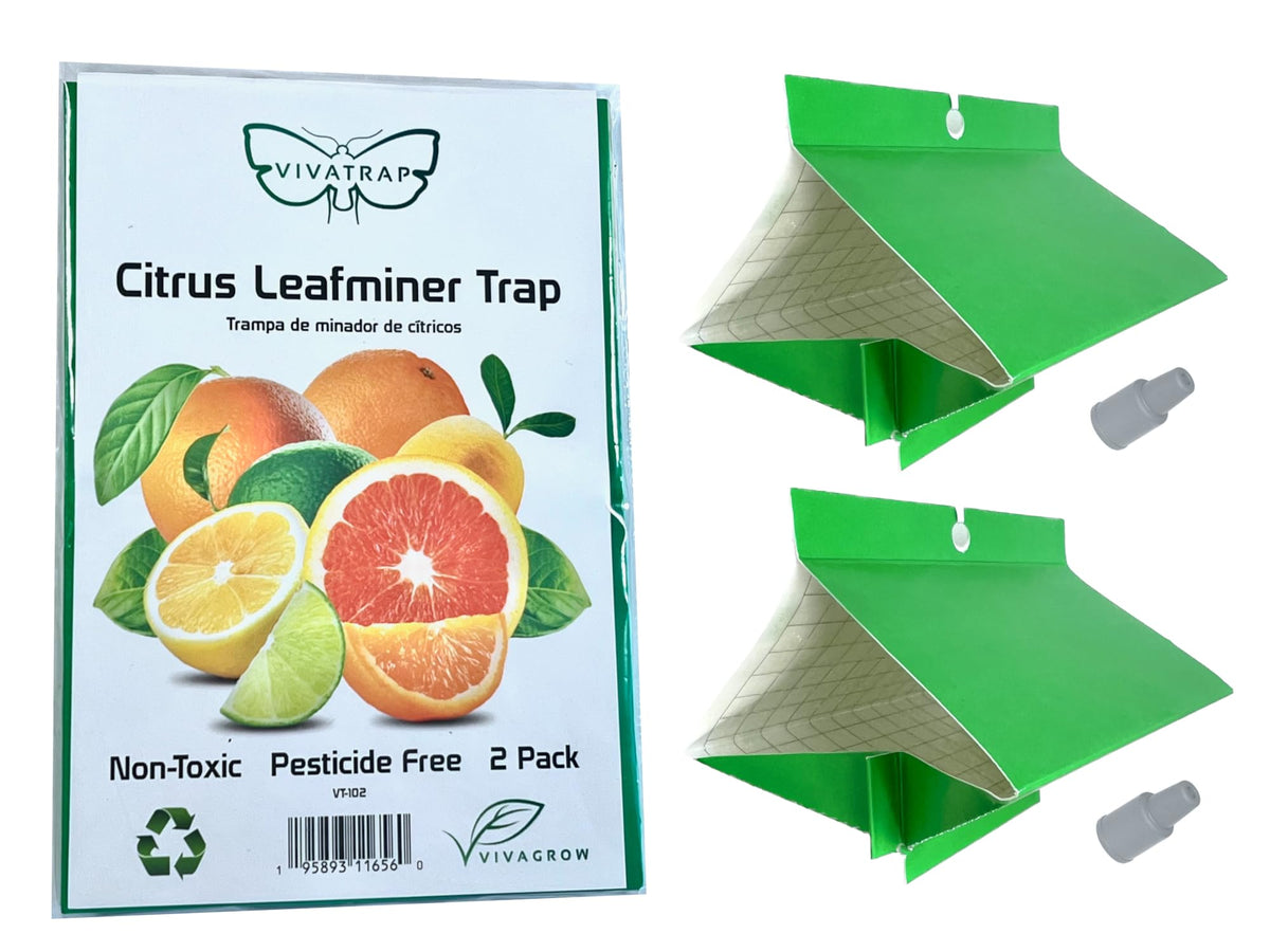 VivaGrow VT-102 trap kit front view for citrus leafminer monitoring