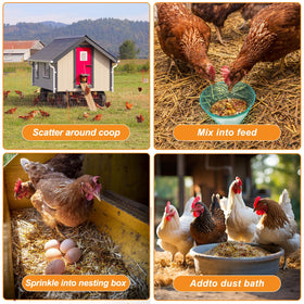 Vivaretio nesting box scene with treats encouraging natural foraging.