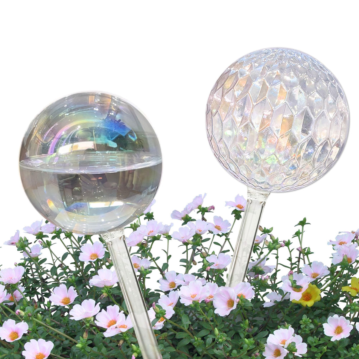 Vividaire iridescent glass watering globe in hand enables easy travel-friendly plant care